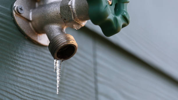 Best Same-Day Plumbing Service  in Wheat Ridge, CO