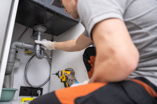 Best Plumbing Repair Near Me  in Wheat Ridge, CO